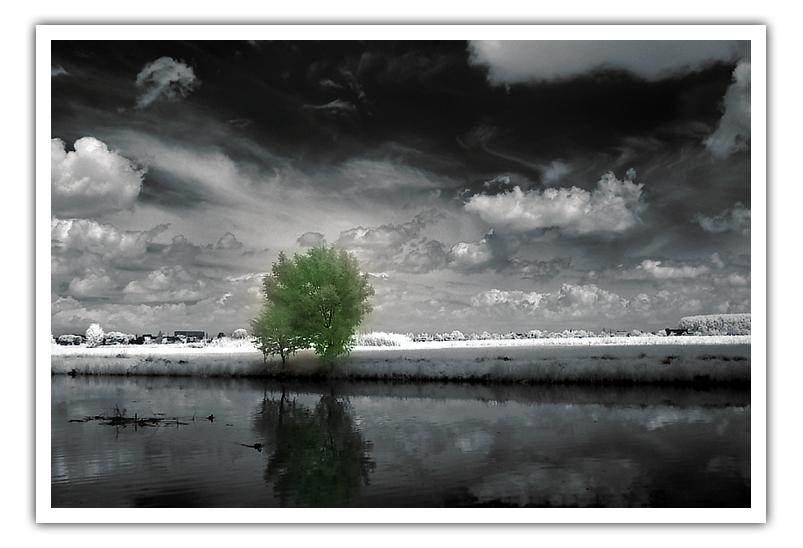 /Article/UploadFiles/200501/20050127102650407.jpg